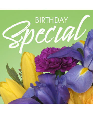 Birthday Special Designer's Choice in Missouri City, TX | LA VIOLETTE FLOWERS & GIFTS Birthday Special Designer's Choice in Missouri City, TX | LA VIOLETTE FLOWERS & GIFTS